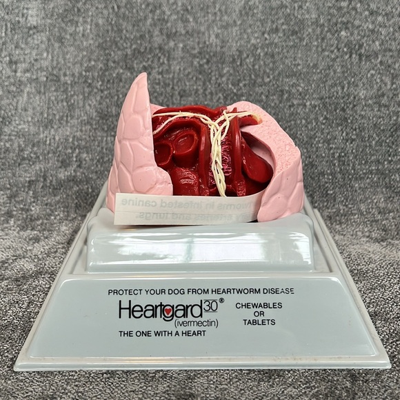 New Heartworm Model - Picture 3 of 8